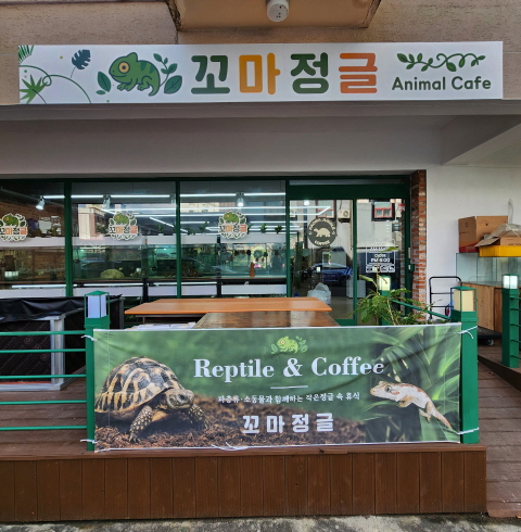 꼬마정글-전주/덕진구/산정동 (~11.30)