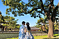전주도서순례길-전주/완산구/전동(~10.30)
