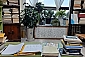 정인작명철학원-전주/완산구/고사동 (~10.30)